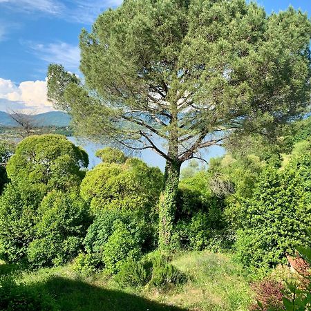 Villa Del Lago Barberino di Mugello Ngoại thất bức ảnh